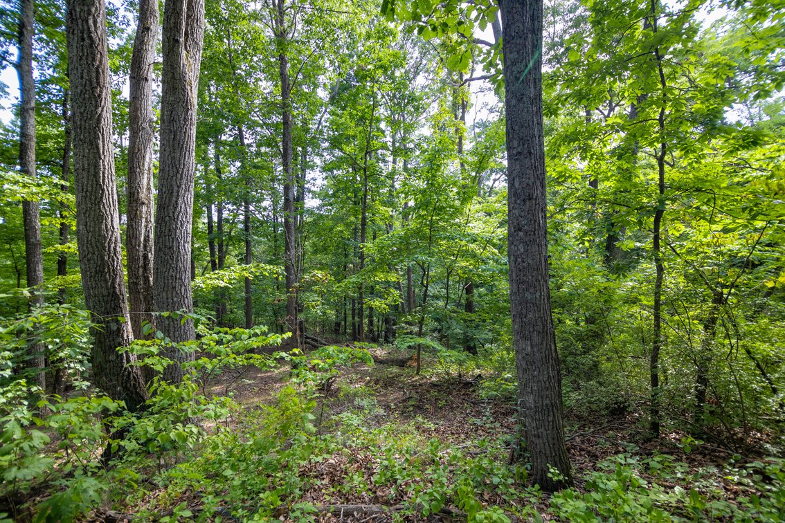 Image for 5.2 Acres on Afton - No Reserve