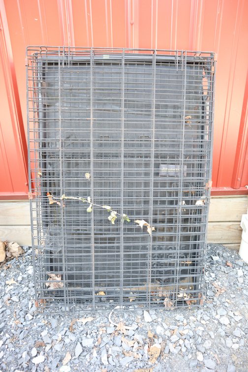 Folding Pet Crate