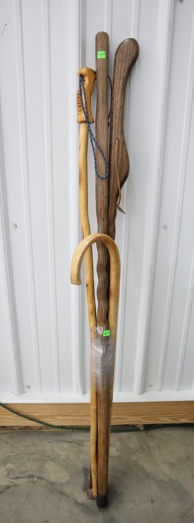 Walking Sticks