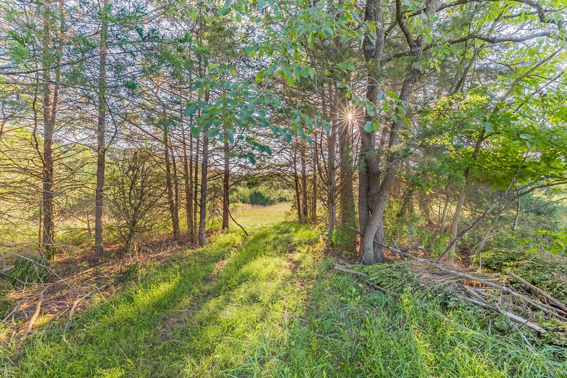 Image for Augusta County Homestead