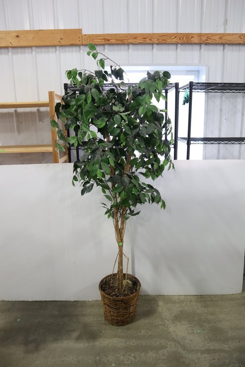 Artificial Tree