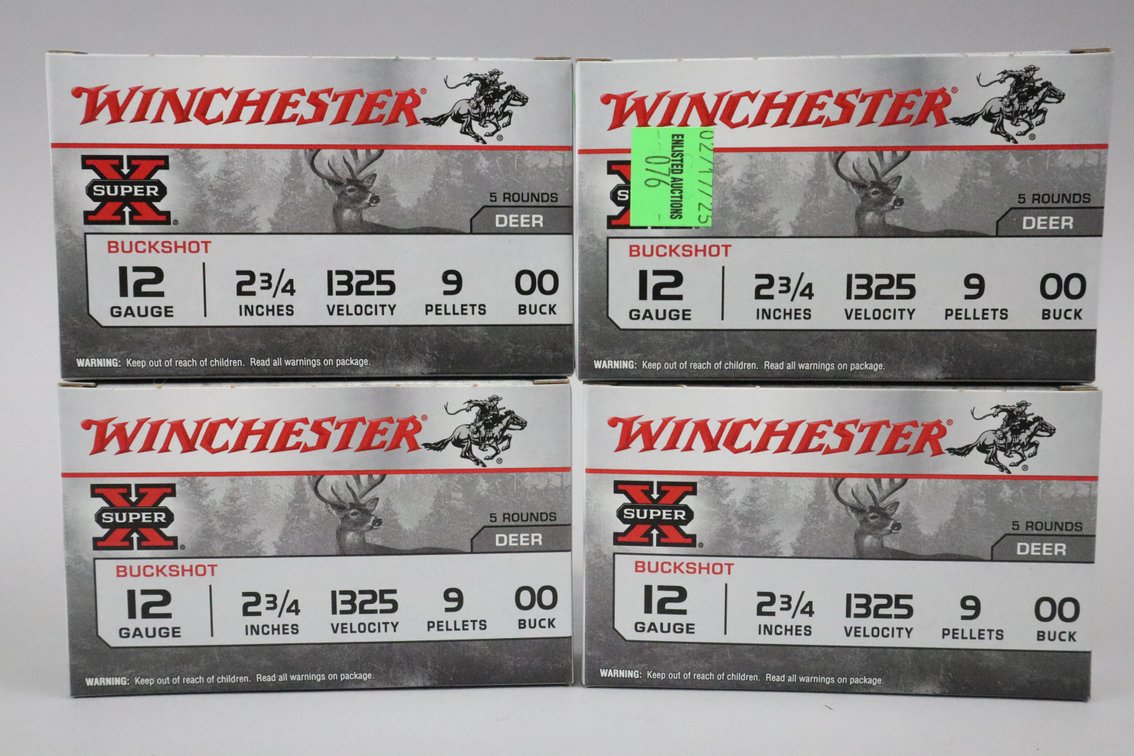 12 ga Buckshot, 20 Rounds