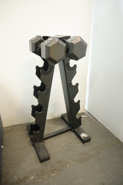 Dumbbell Rack With 20 Lb Dumbbells