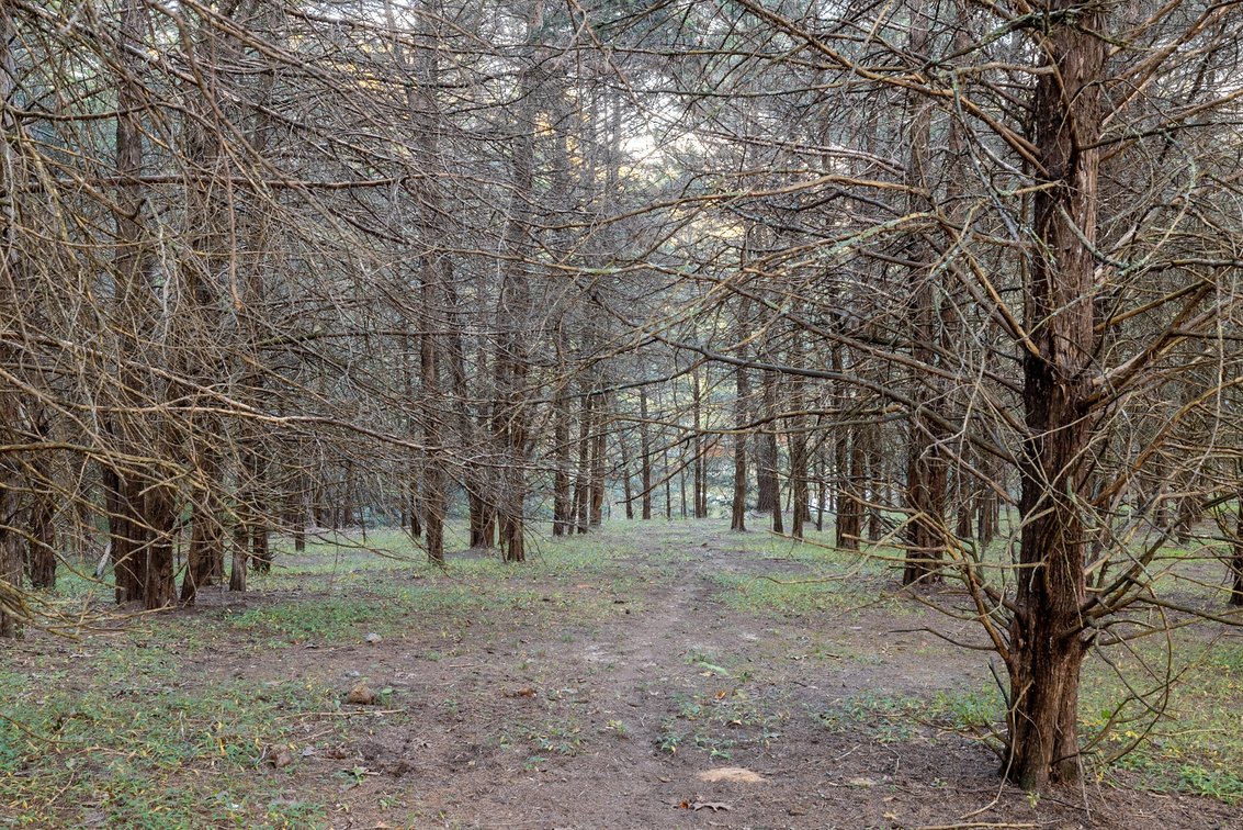 Image for Home and 30 Acres - Mount Crawford
