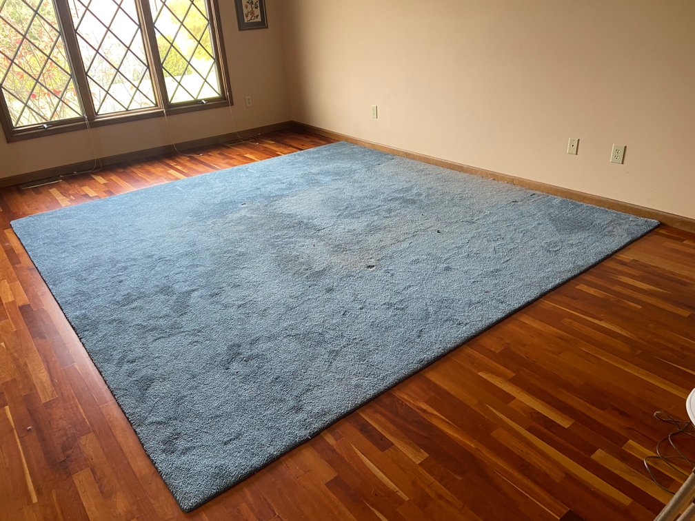 Large Area Rug
