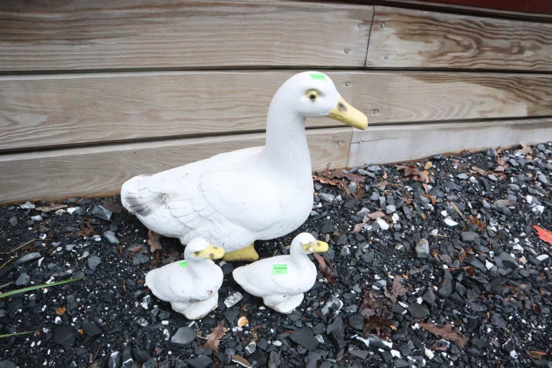 Cement Duck Family