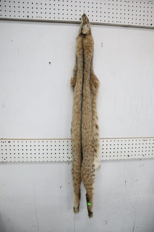 Soft Tanned Bobcat Hide