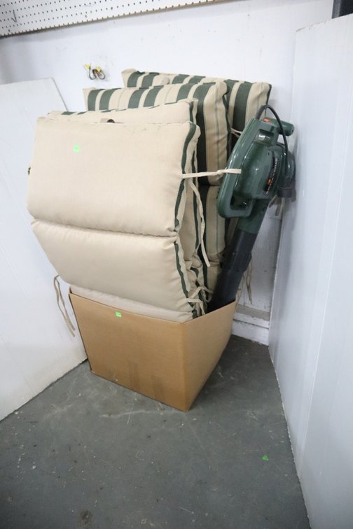 Patio Chair Cushions and Electric Blower