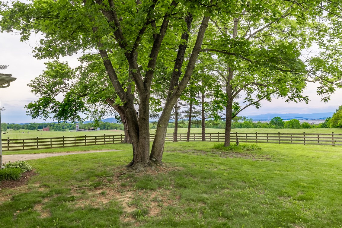 Image for Mt. Crawford Farm Auction