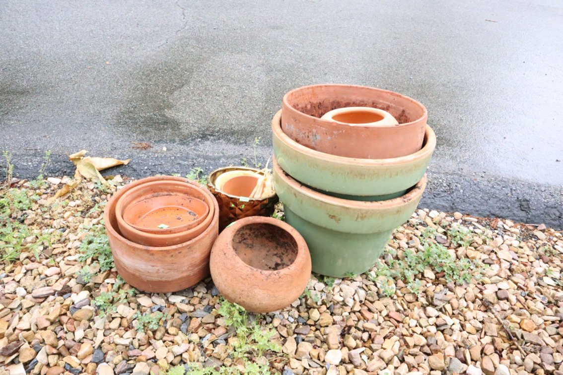 Group of Clay and Ceramic Planters