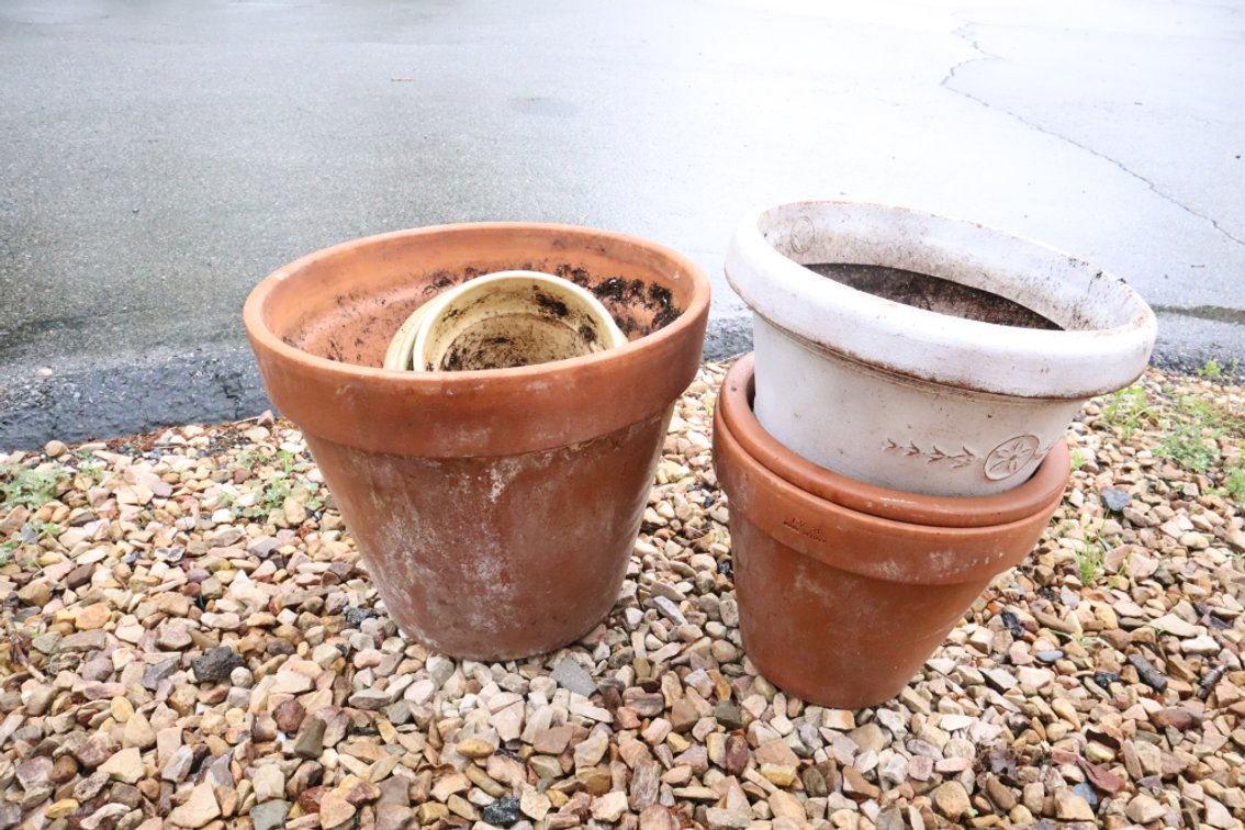 Group of Clay and Ceramic Planters