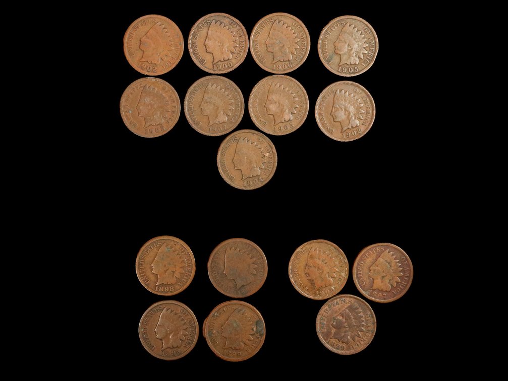 (16) Indian Head Pennies 