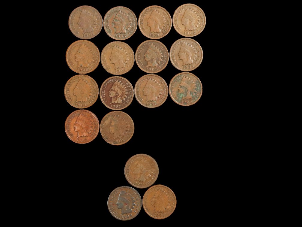 (17) Indian Head Pennies 