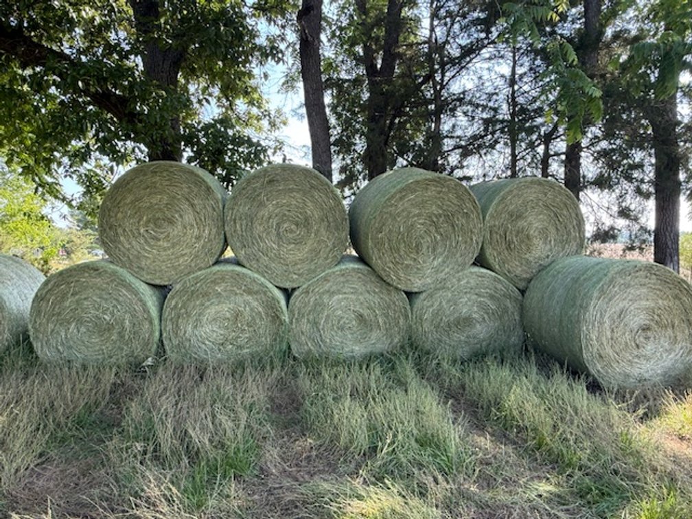 Premium MaxQ Fescue Round Bales – June 3rd Cutting
