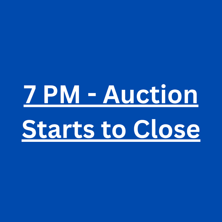 7 PM - Auction Starts to Close