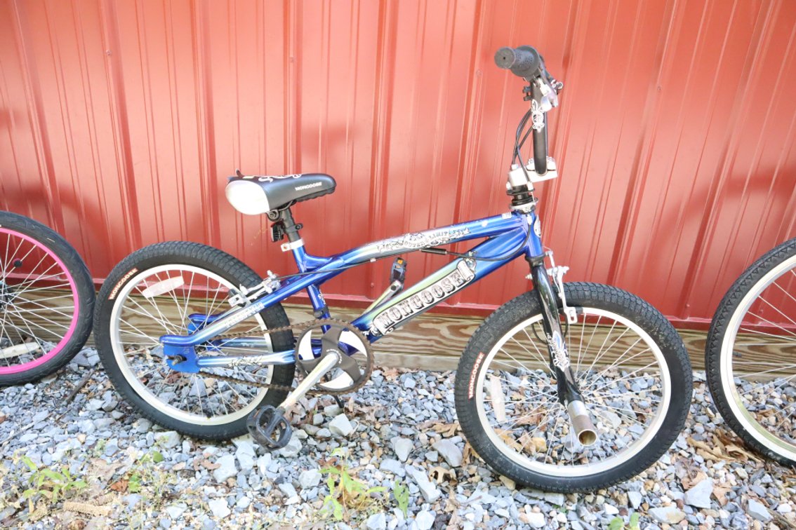 Mongoose 20-In Bicycle