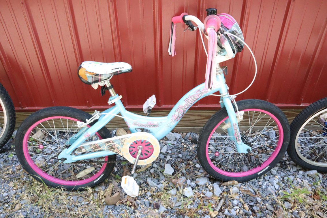 Schwinn 20-In Bicycle