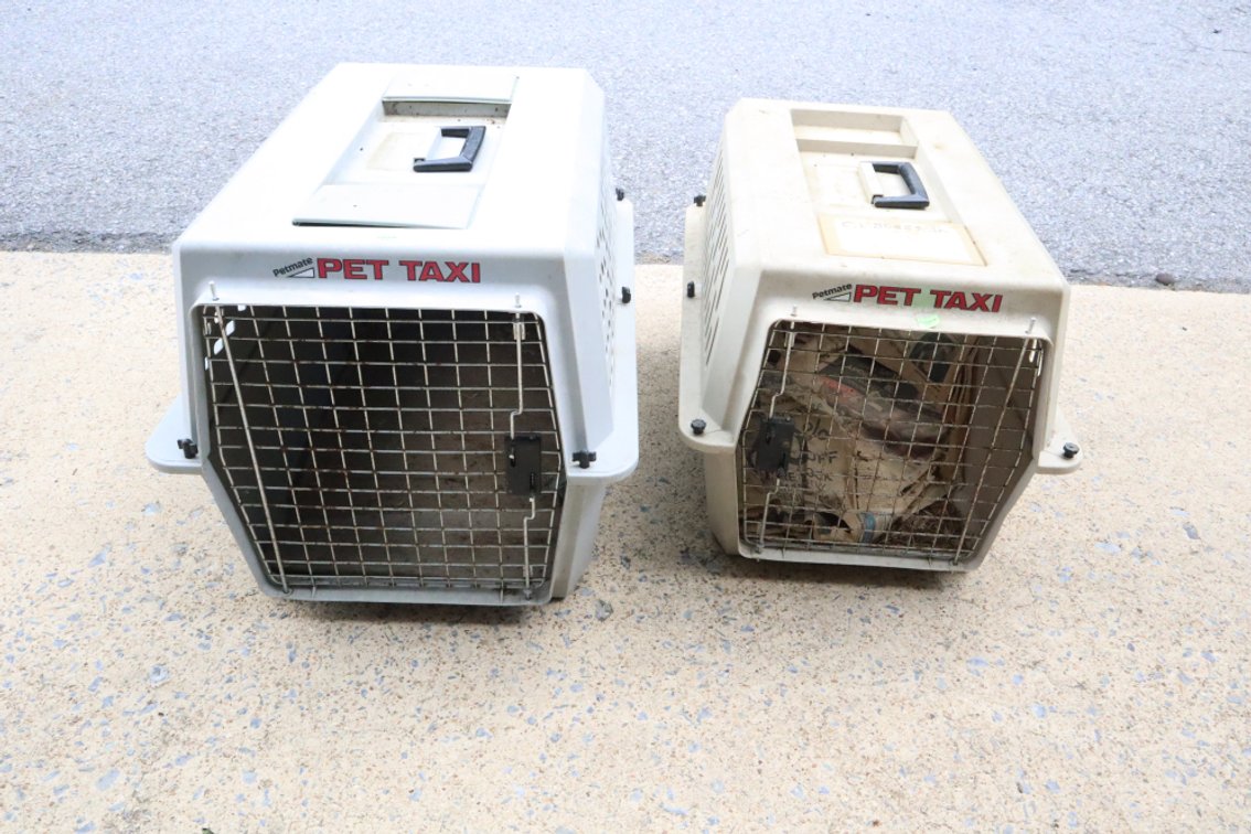 Pair of Pet Taxi Pet Crates