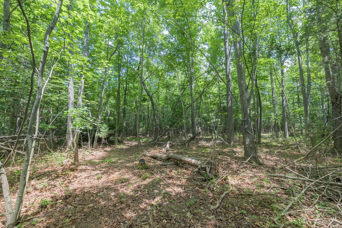 Image for Augusta County Real Estate