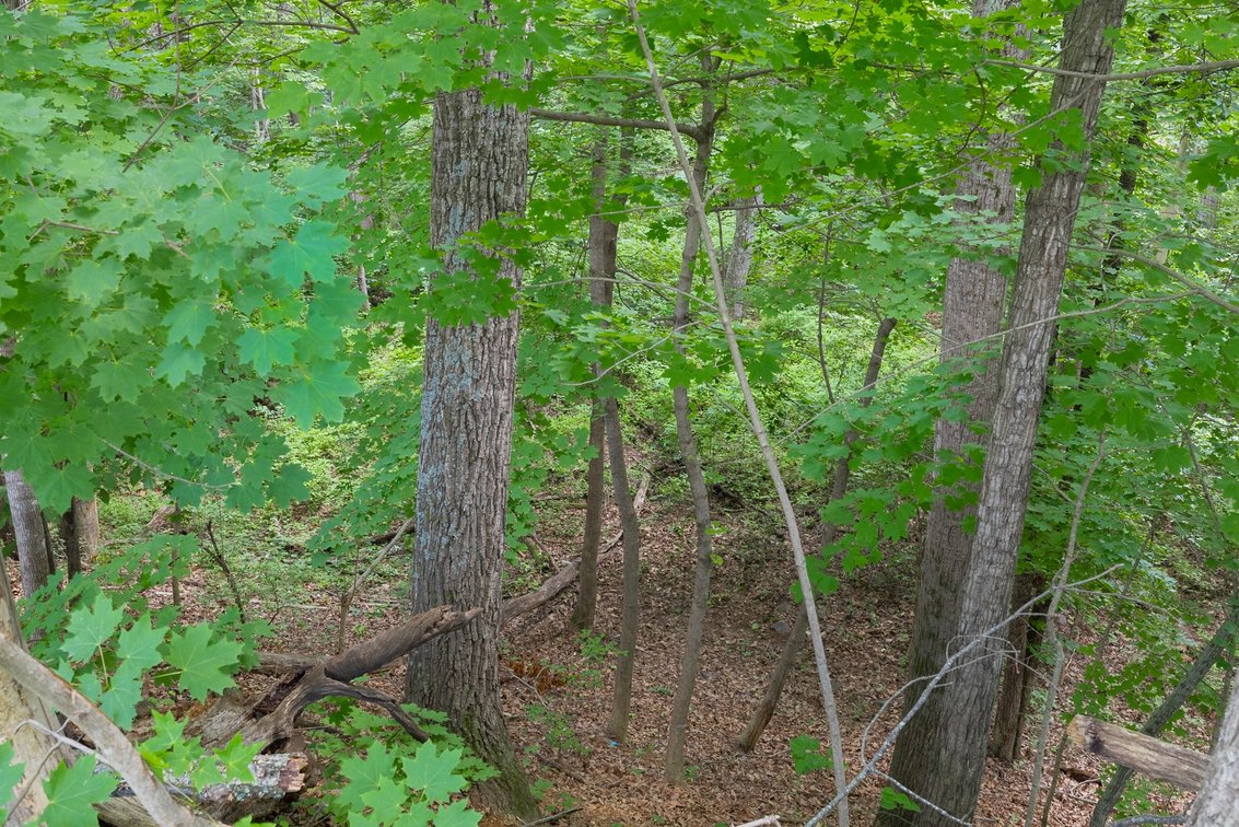 Image for Augusta County Real Estate