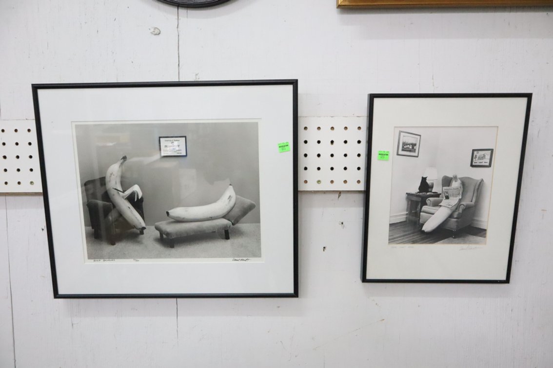 Pair of Framed Banana Prints