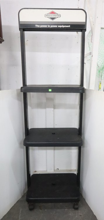 Briggs & Stratton Retail Shelf