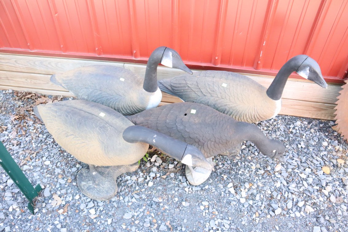 4 Plastic Goose Decoys