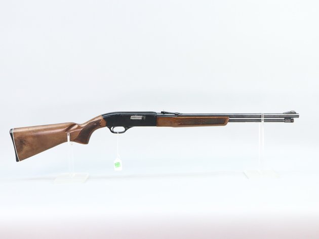 Image for Firearms - July 2025