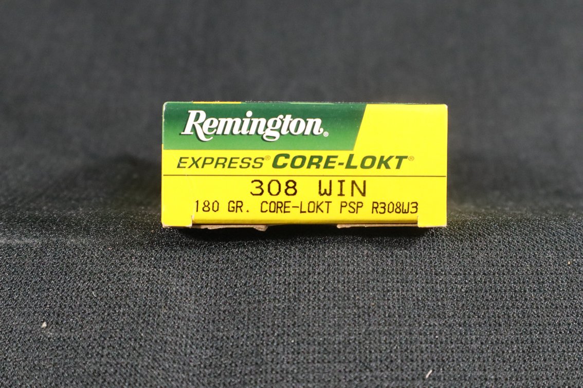 308 Win, 20 Rounds