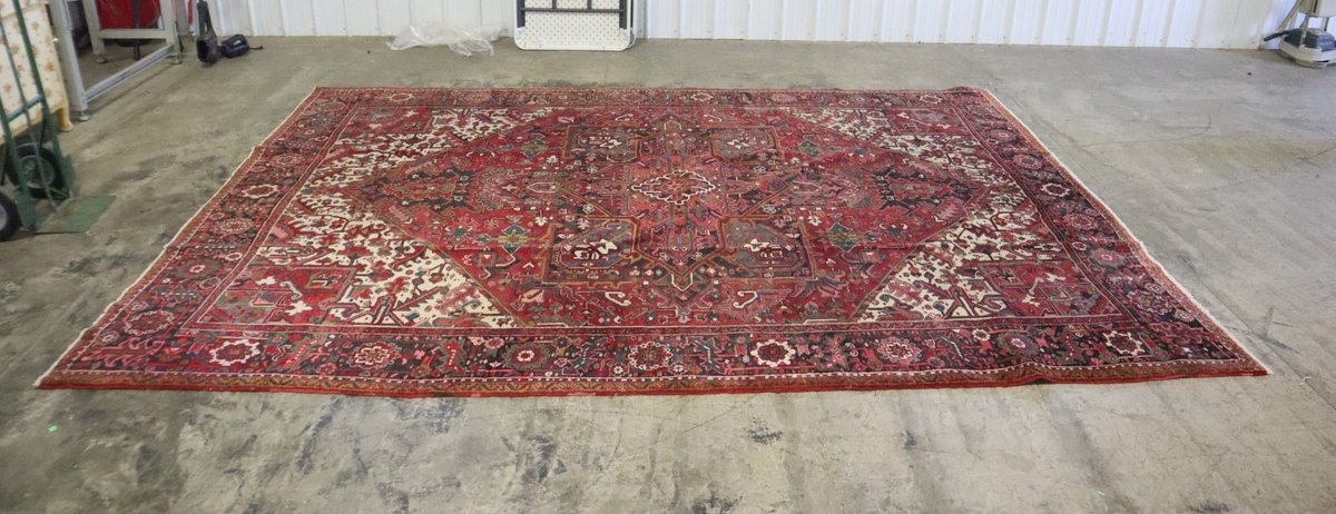 Ghandi Area Rug