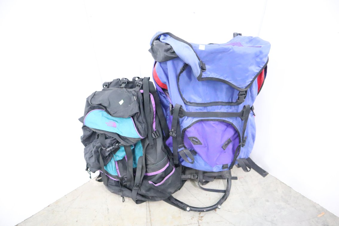 Pair of Backpacks