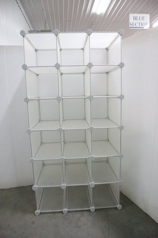 Cubby Organizer