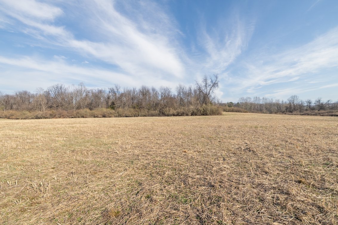 Image for Waynesboro Land Auction