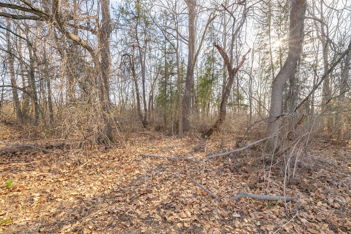 Image for Waynesboro Land Auction