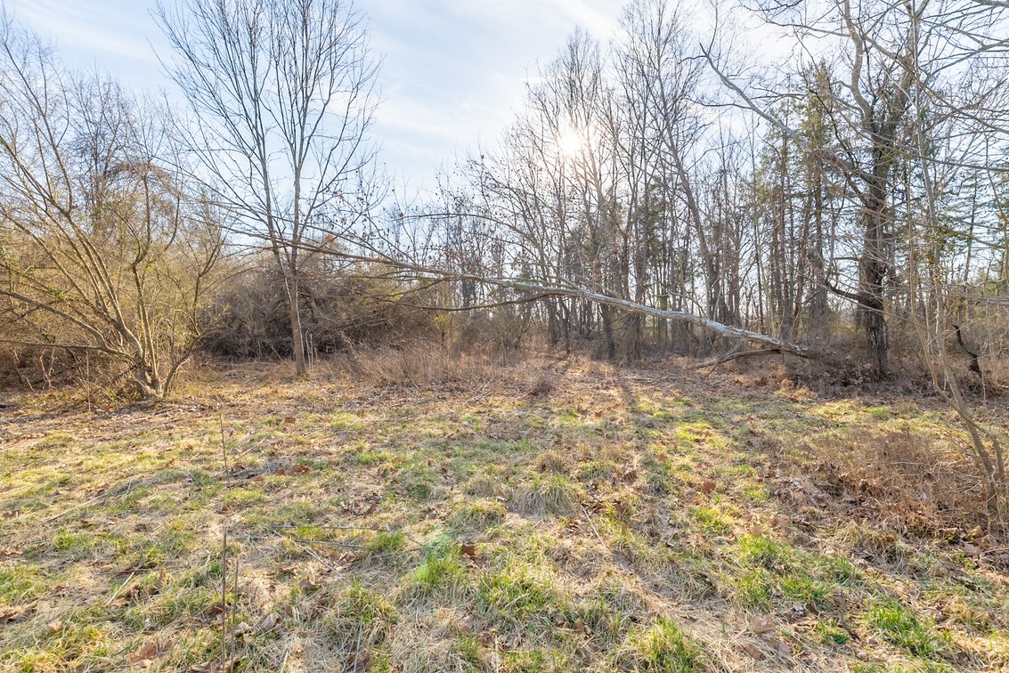 Image for Waynesboro Land Auction