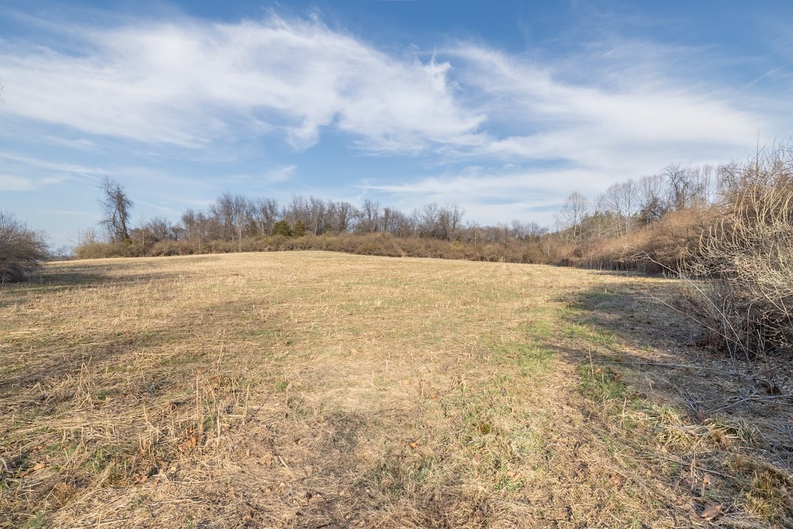 Image for Waynesboro Land Auction
