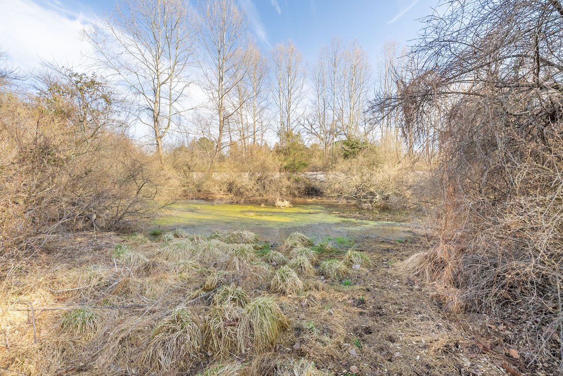 Image for Waynesboro Land Auction