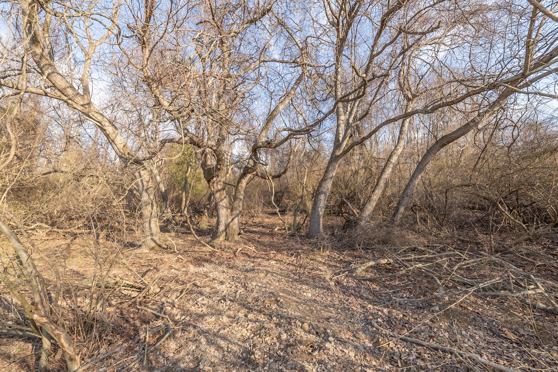 Image for Waynesboro Land Auction