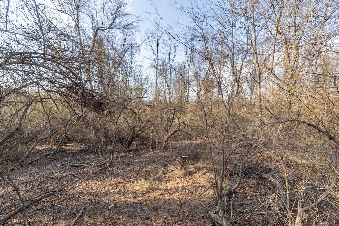 Image for Waynesboro Land Auction