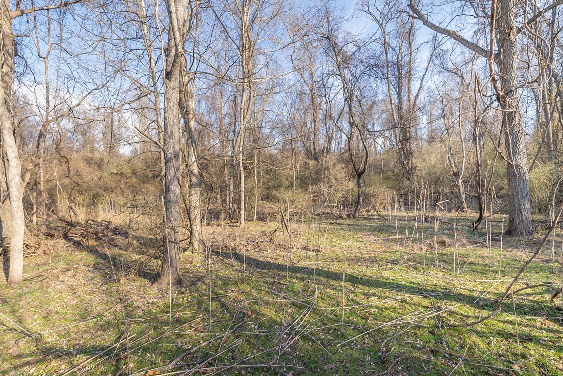 Image for Waynesboro Land Auction
