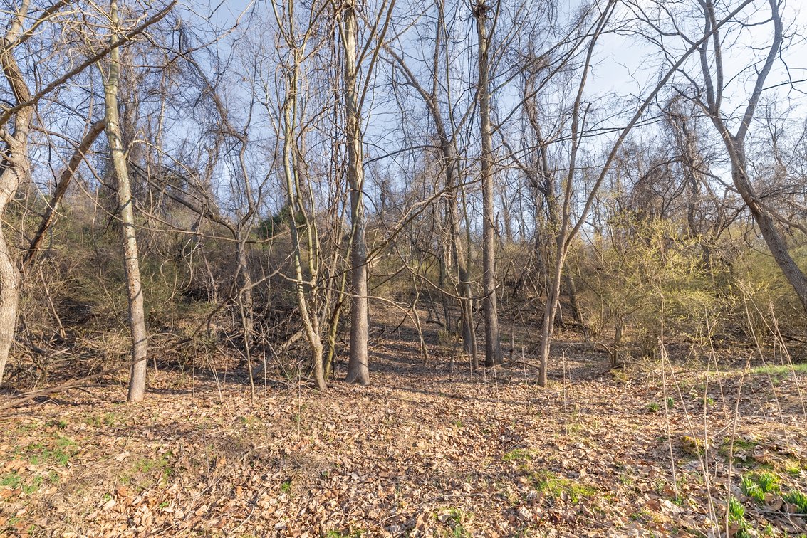 Image for Waynesboro Land Auction