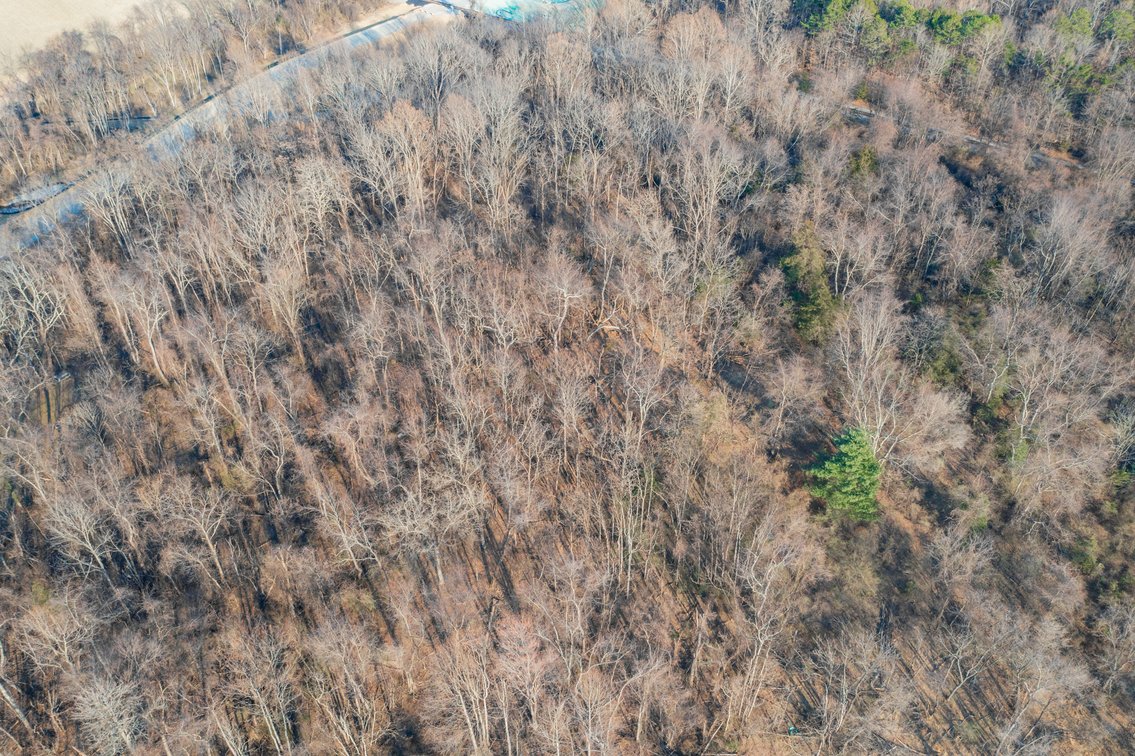Image for Waynesboro Land Auction