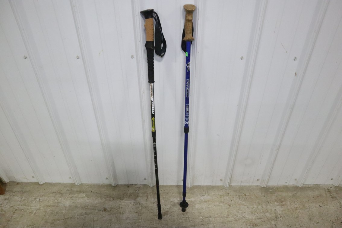 Hiking Sticks