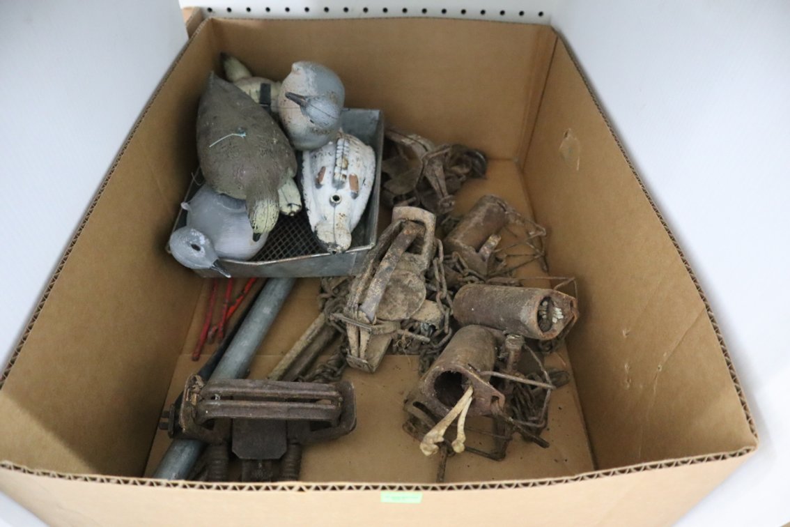 Foothold Traps and Trapping Supplies, Dove Decoys