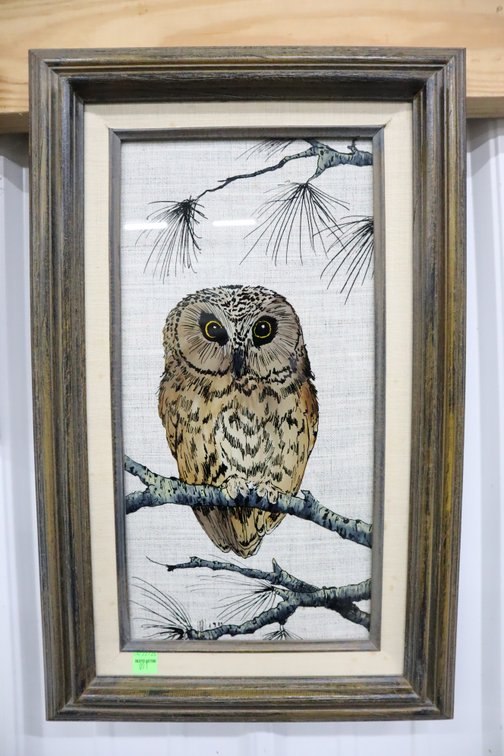 Framed Owl Picture
