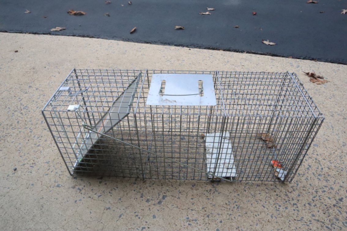 Live Animal Trap