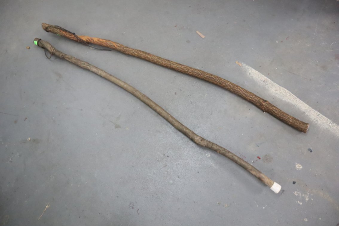 Pair of Carved Walking Sticks