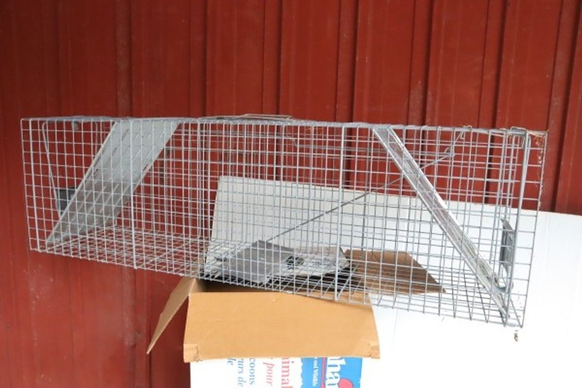 Live Animal Cage Trap