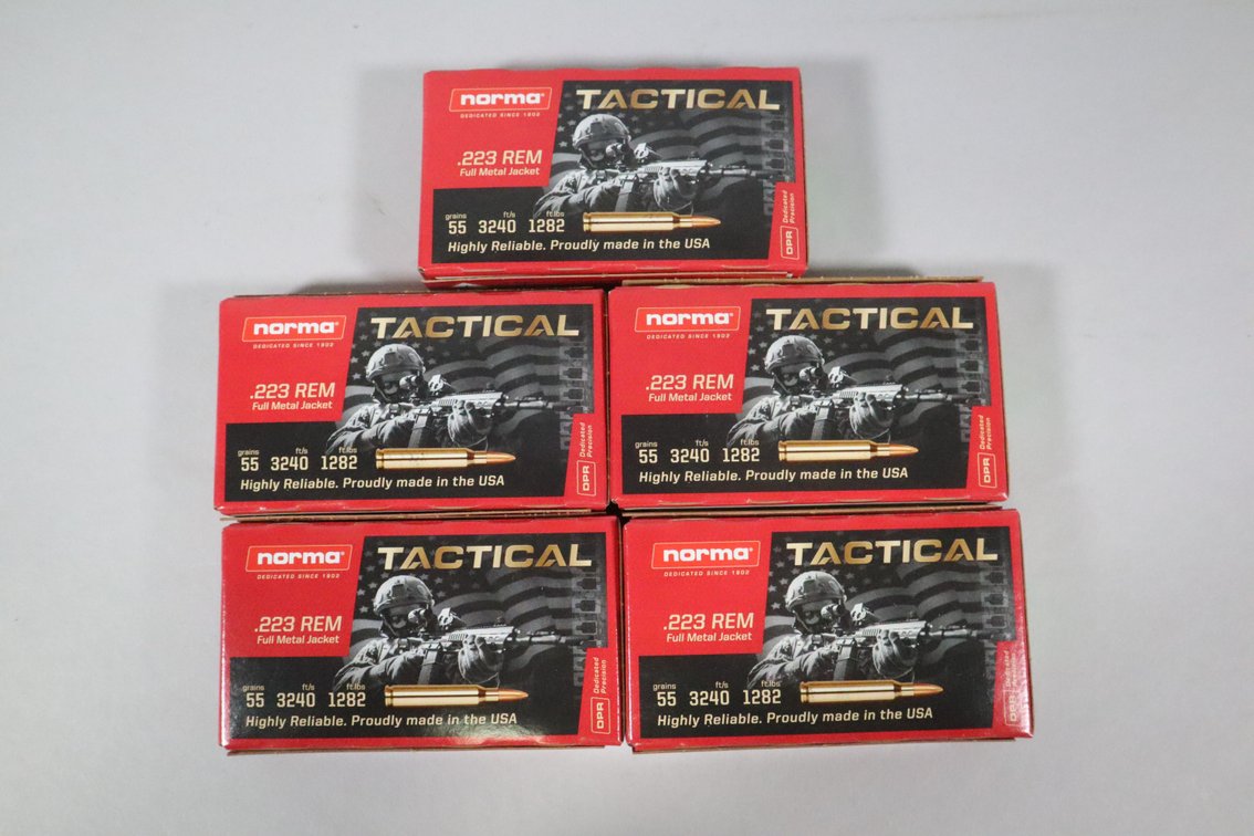 223 Rem, 100 Rounds