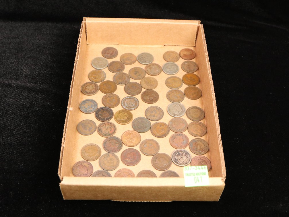 Bag of (50) 1800's Indian Cents 